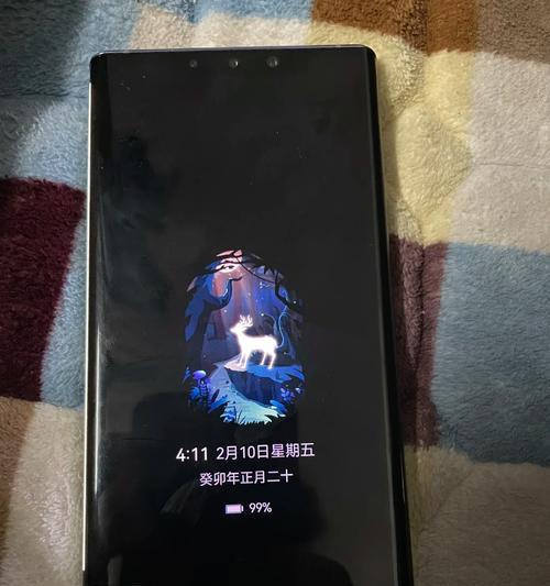 揭秘手机屏幕一闪一闪的神秘现象（探索手机屏幕闪烁的原因及解决方法）