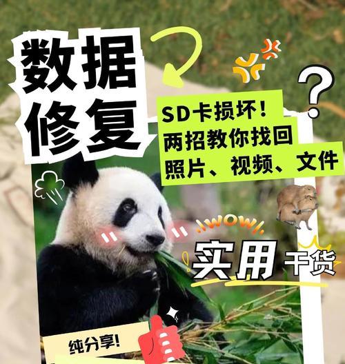 内存卡损坏了如何恢复数据？（有效的方法帮助您从损坏的内存卡中恢复数据）