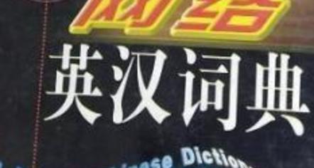 电脑显示载入字典错误解决方法（探索电脑显示载入字典错误的原因及解决方案）