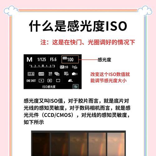 从头开始学习UitriaOS——打造高效用户界面的完美教程（掌握关键技巧，轻松构建强大应用）