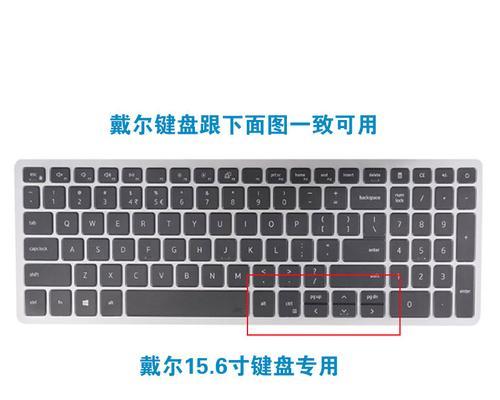 以戴尔电脑灵越5590安装应用教程（轻松掌握戴尔电脑灵越5590的应用安装技巧）