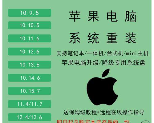 使用U盘在iOS设备上安装系统的教程（一步步教你通过U盘在iOS设备上安装系统）
